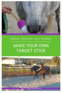 Horse clicker training budget DIY target stick hippologic