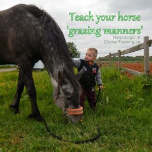 TEach your horse to behave on grass so everyone can handle your horse