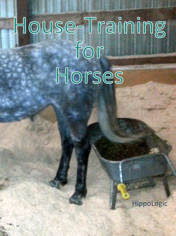 house training horses with clicker training