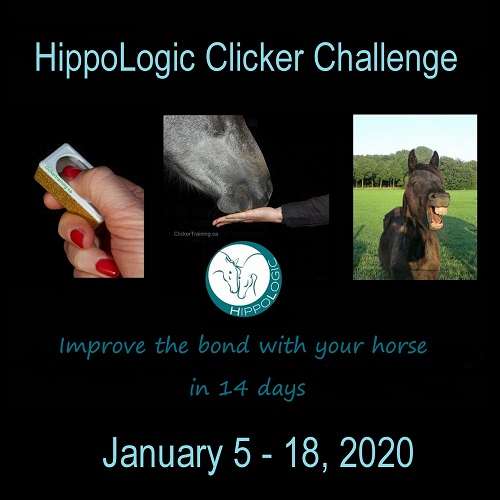 HippoLogic Clicker Challenge january 2020