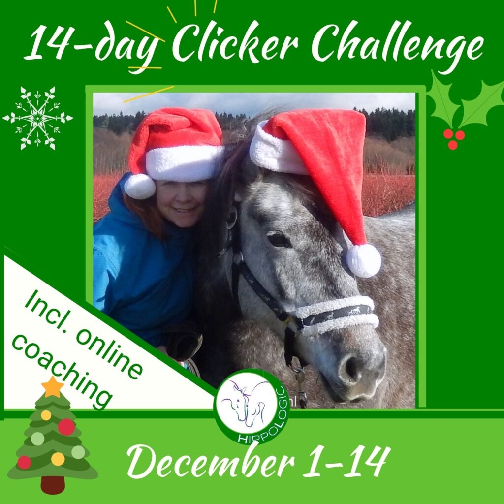 HippoLogic Clicker Challenge December
