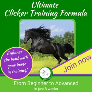 From Beginner to Advanced Clicker training in just 8 weeks