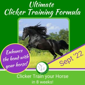 best online course for equine clicker trainers. Ultimate Clicker Training formula