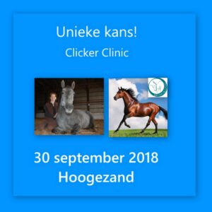 Clinic clickertraining Nederland