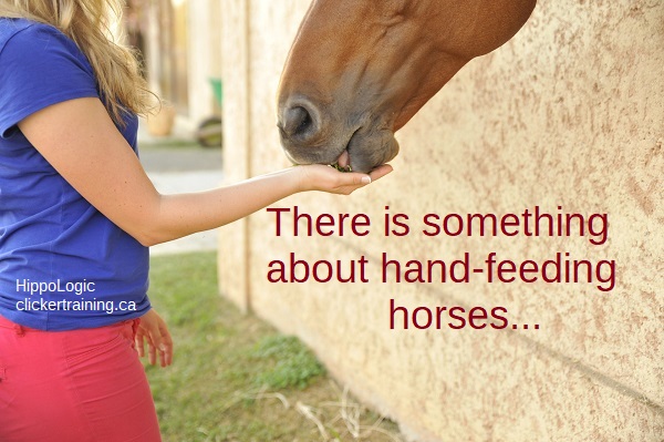handfeeding-horses_hippologic_tablemannersforhorses
