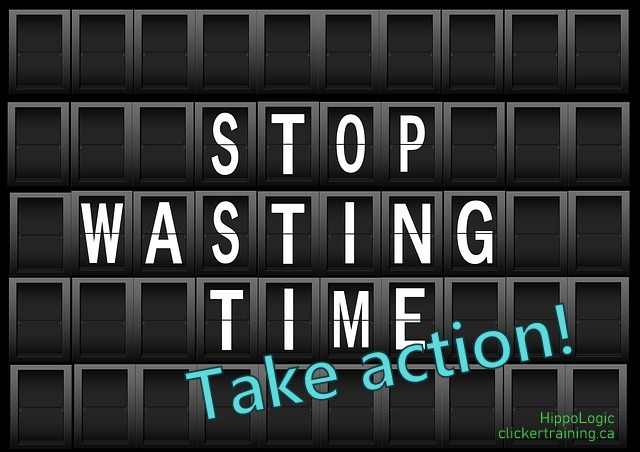 take action_stop wasting time