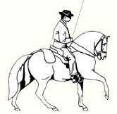 Lusitano Vrienden Nederland