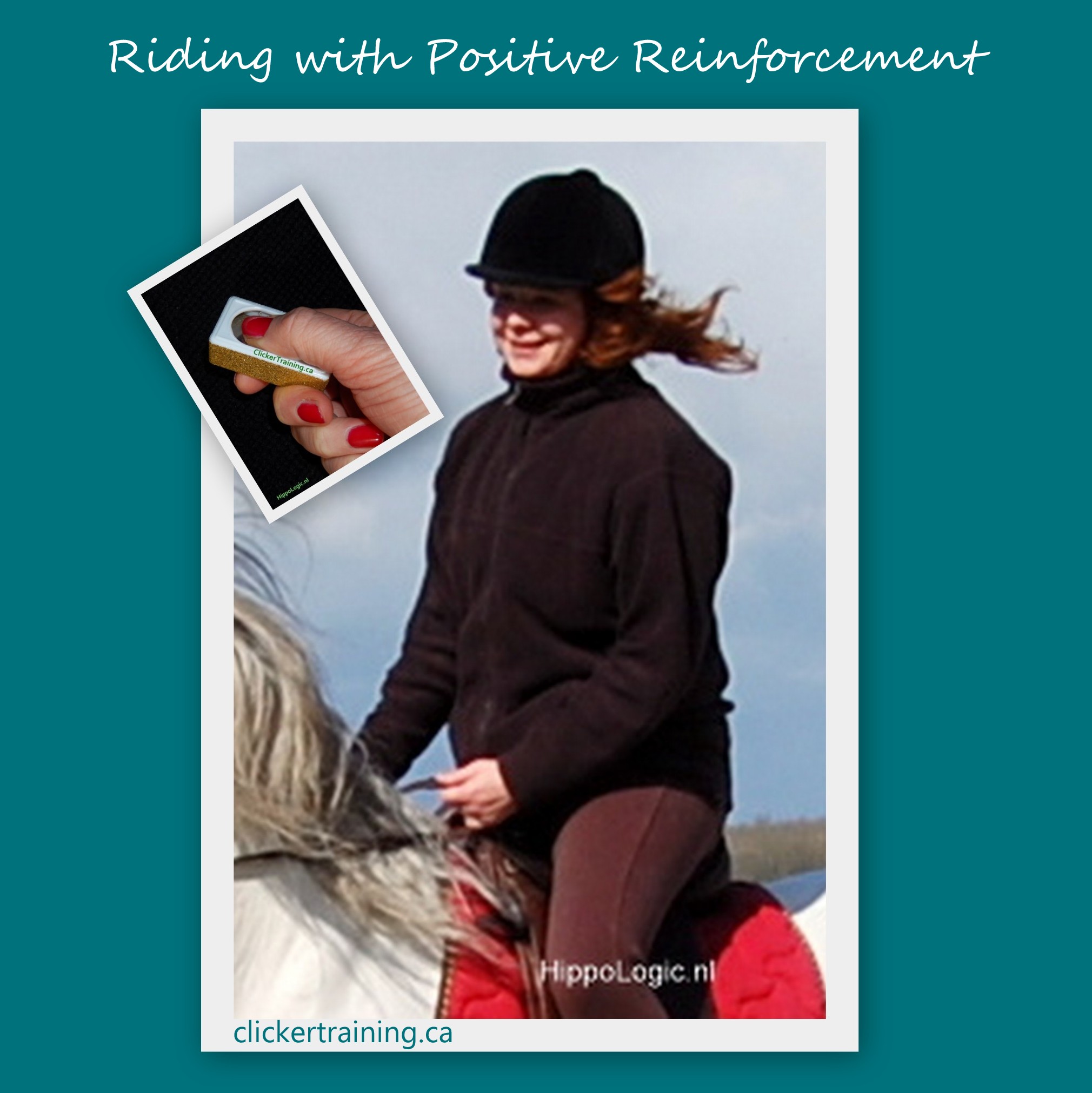 riding positive reinforcement clickertraining hippologic