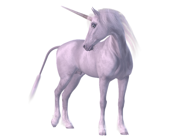 unicorn-1981220_640