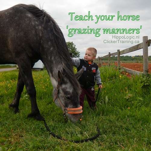 Grass training makes it easier for kids to handle horses