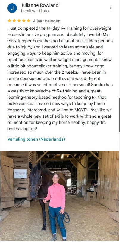 praise for hippologic rectangle movement rplus training overweight horses program julianne rowland for hippologic clickertraining review