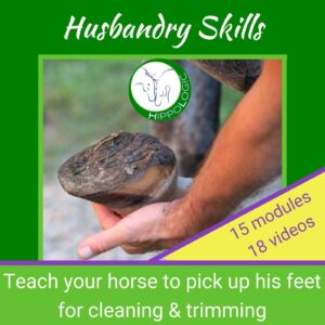 Updated in 2021. Teaching yoru horse to lift feet for cleaning and trimming