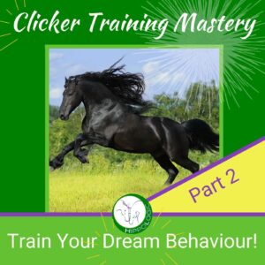 Advanced Clicker Training course