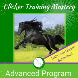 Advanced clicker training course