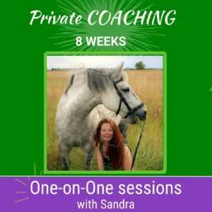 private coaching clicker training