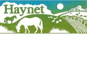 HippoLogic is featured multiple times on Haynet.com