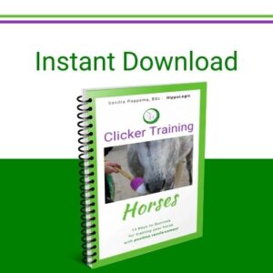 Instant downloadable eBooks