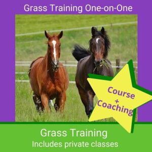 One-on-One Coaching Grass Training