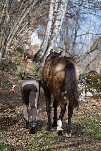 Taking your horse outside can entice create more forward movement