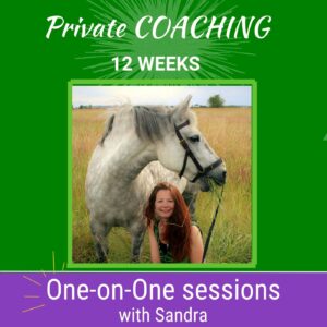private clicker coaching online