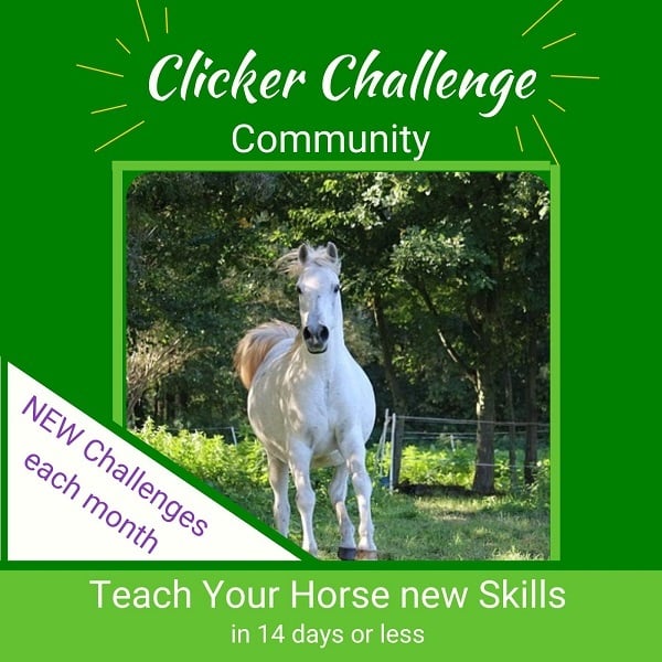 HippoLogic Clicker Challenge Community