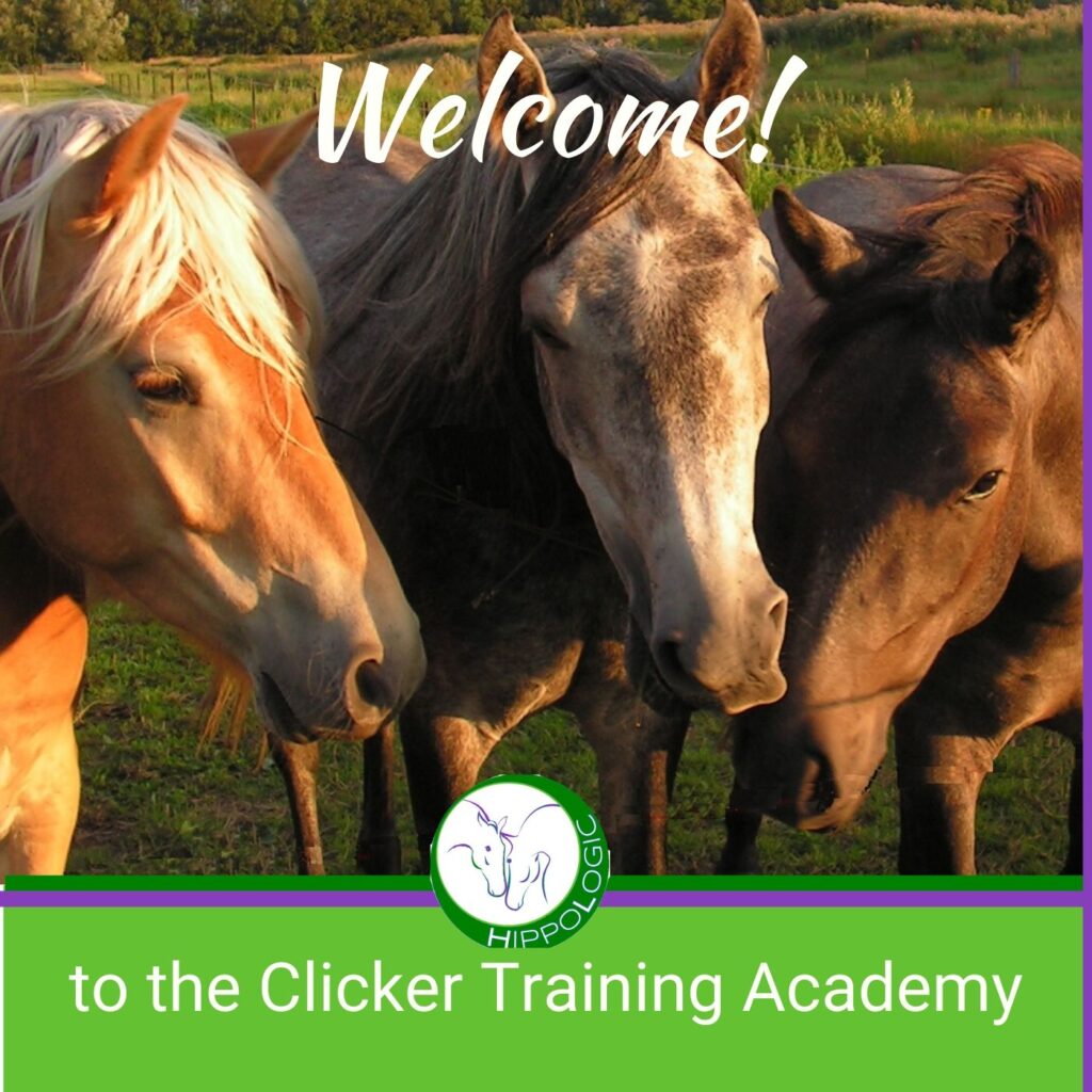  welcome to the Clicker Training Academy