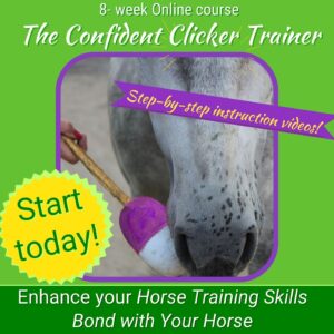 Intro to Clicker Training Horses