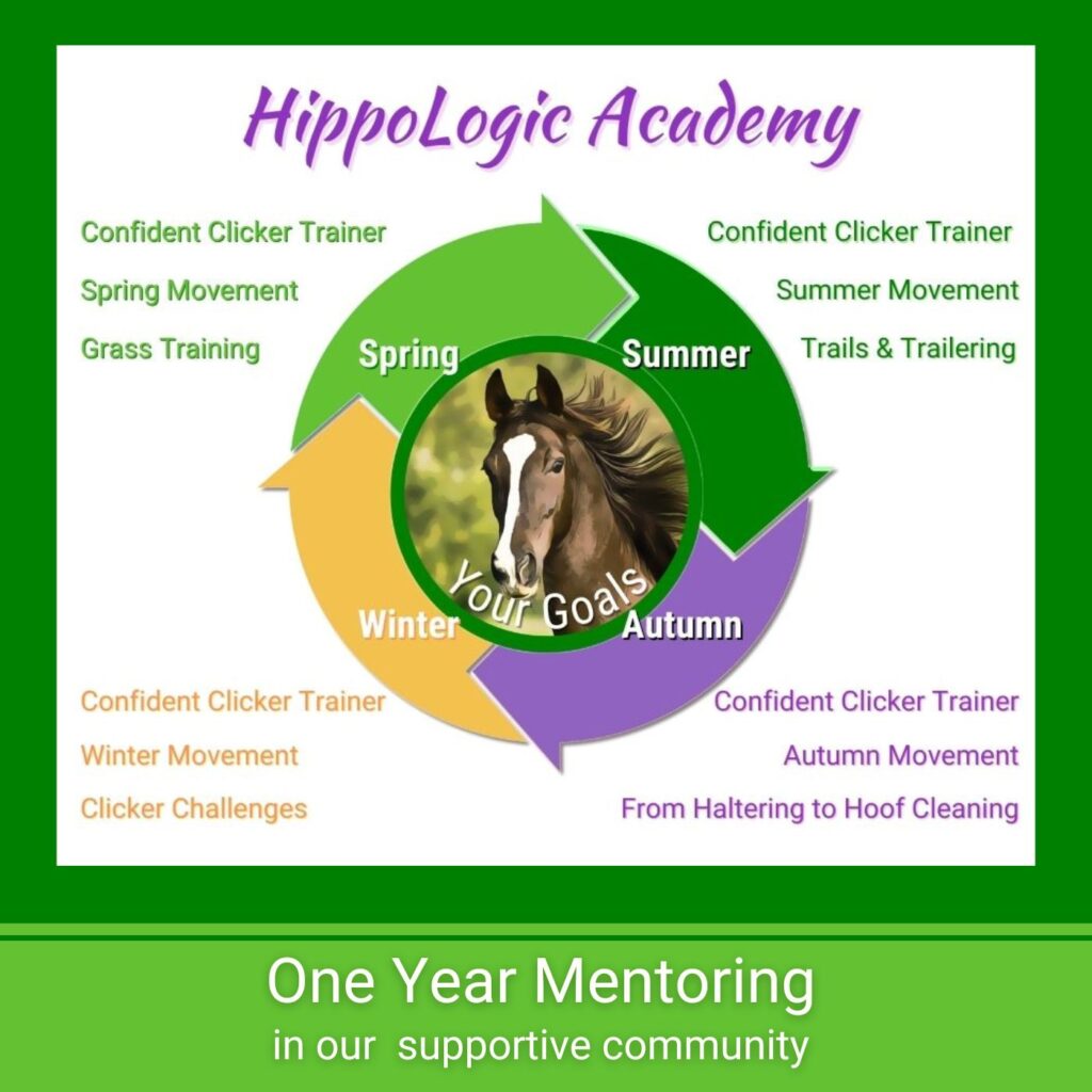 One year clicker coaching program for horse owners
