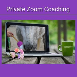 Private clicker coaching ($ 150)