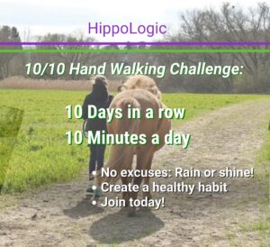 10/10 Handwalking Your Horse Challenge -Jan 23, 2026