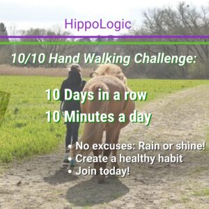 10/10 Hand Walking Your Horse Challenge