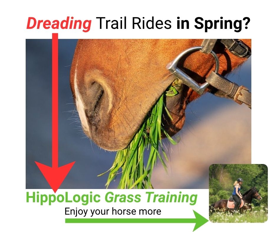 Are you dreading trail rides in Spring