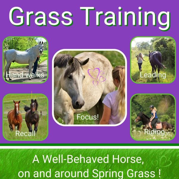 Teach your horse to ignore grass and pay attention to you