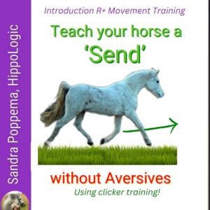 Masterclass- Teach Your Horse a SEND to cue him where to go in At Liberty Training